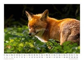 Kalender-LandGlueck-2023_SD10