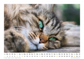 Kalender-LandGlueck-2023_SD2