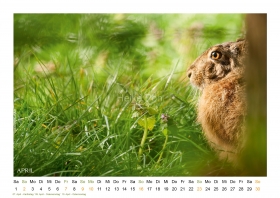 Kalender-LandGlueck-2023_SD5