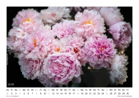 Kalender-LandGlueck-2023_SD7