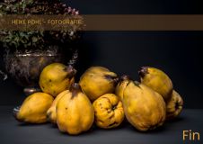 Kopie von Portfolio Heike Pohl Slider Web 2100 x 1485 px - Heike Pohl - Portfolio - Fotografie (4)